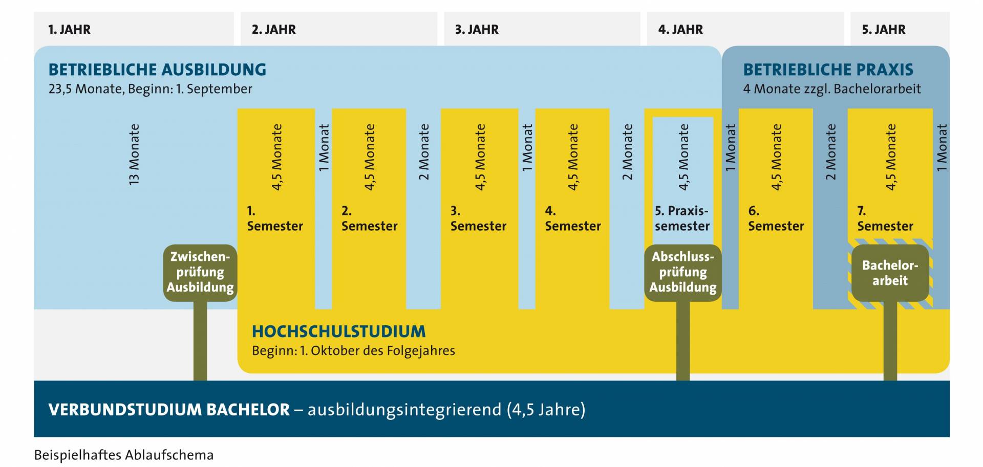 Ablauf Verbundstudium