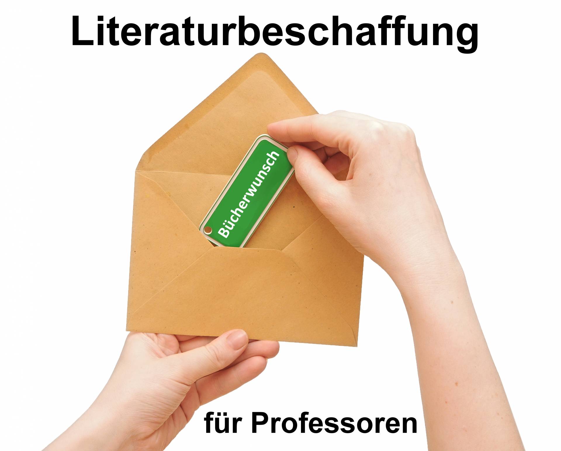 Formular für Professoren (Login mit RZ-Kennung erforderlich)