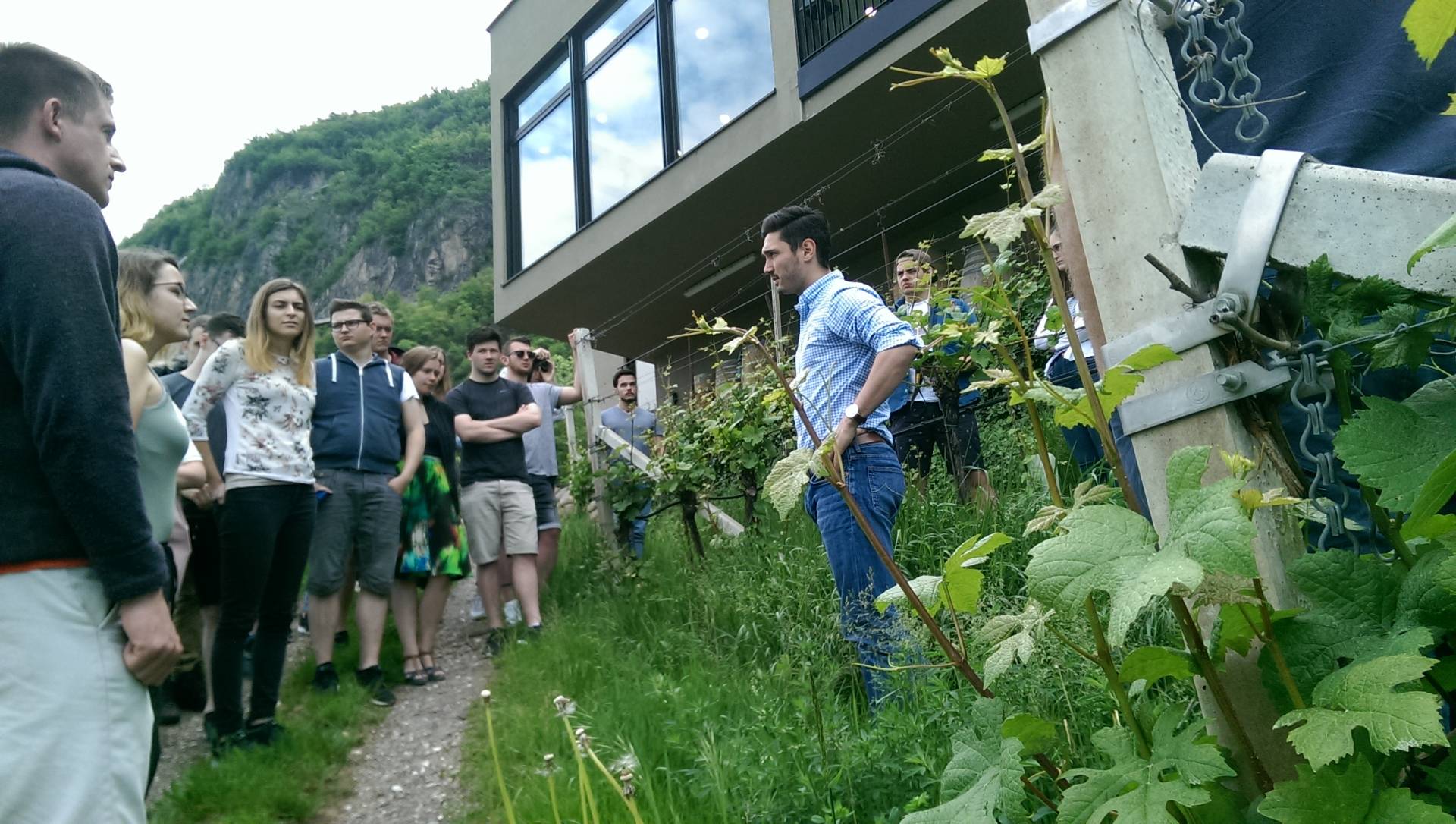 Das Gebäude im Weinberg: Kellerei Pfitscher (Foto: J. Müller)