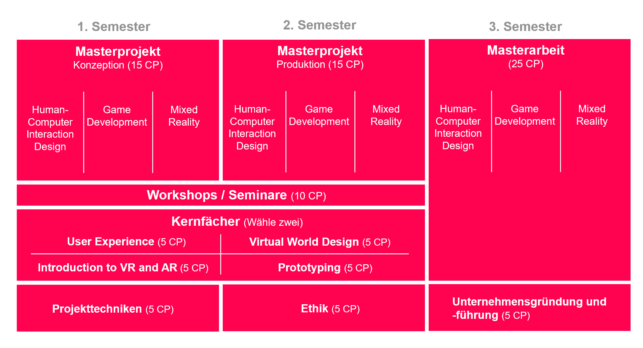 Studienstruktur MA IMS
