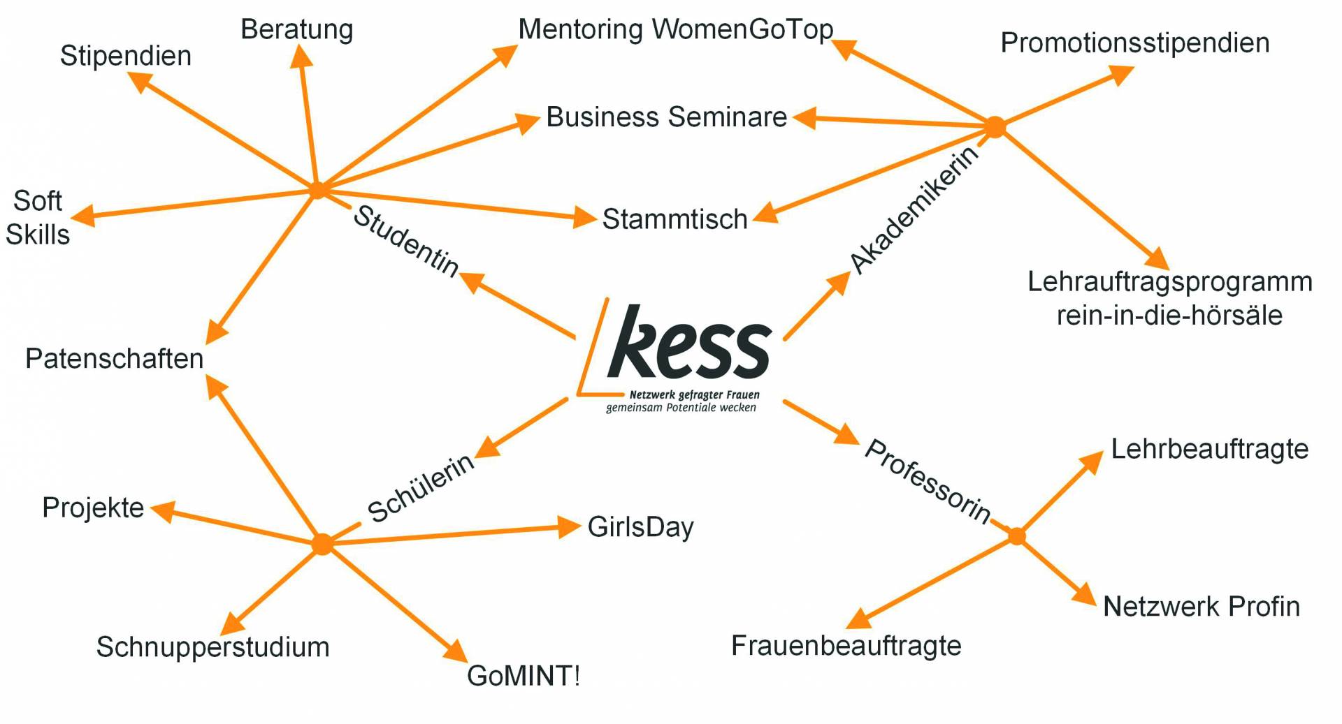 kess Netzwerk