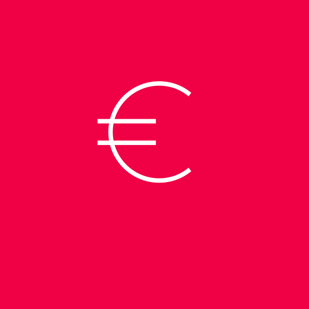 Euro Icon