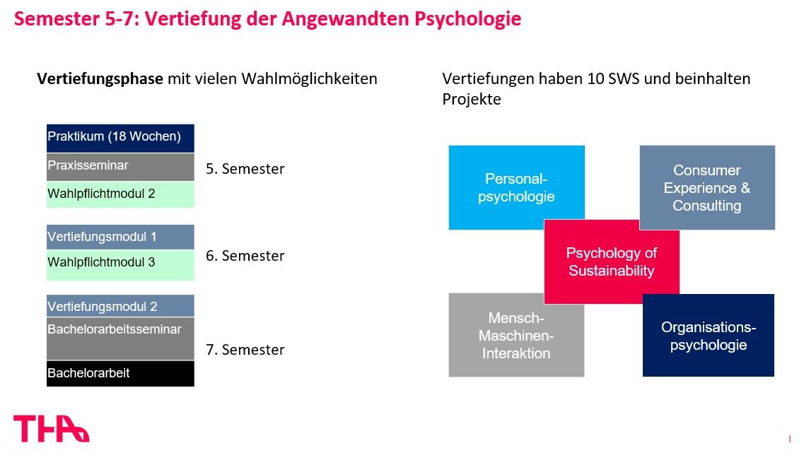 Praxis- und Vertiefungsphase Semesster 5 - 7