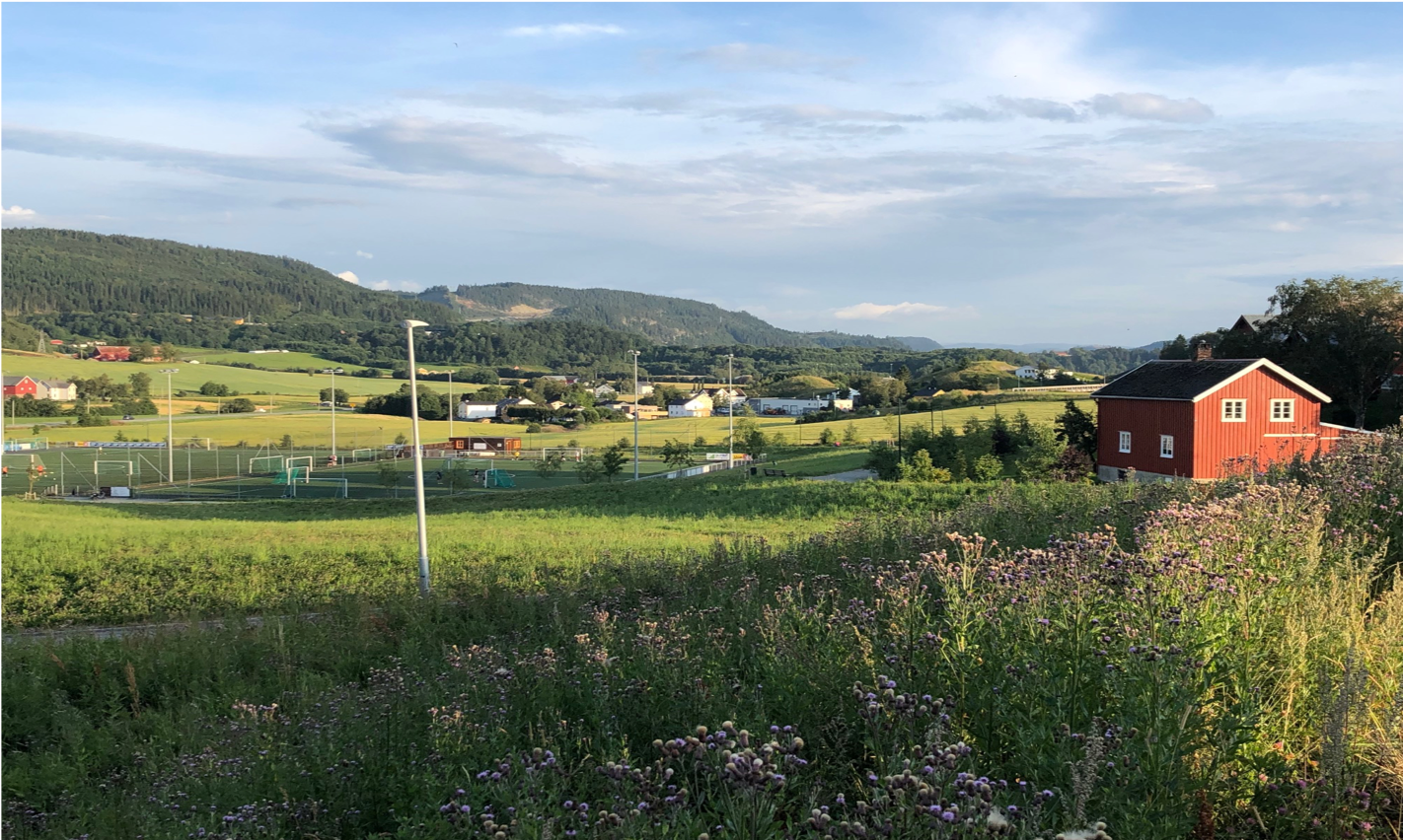 Landschaft bei Trondheim