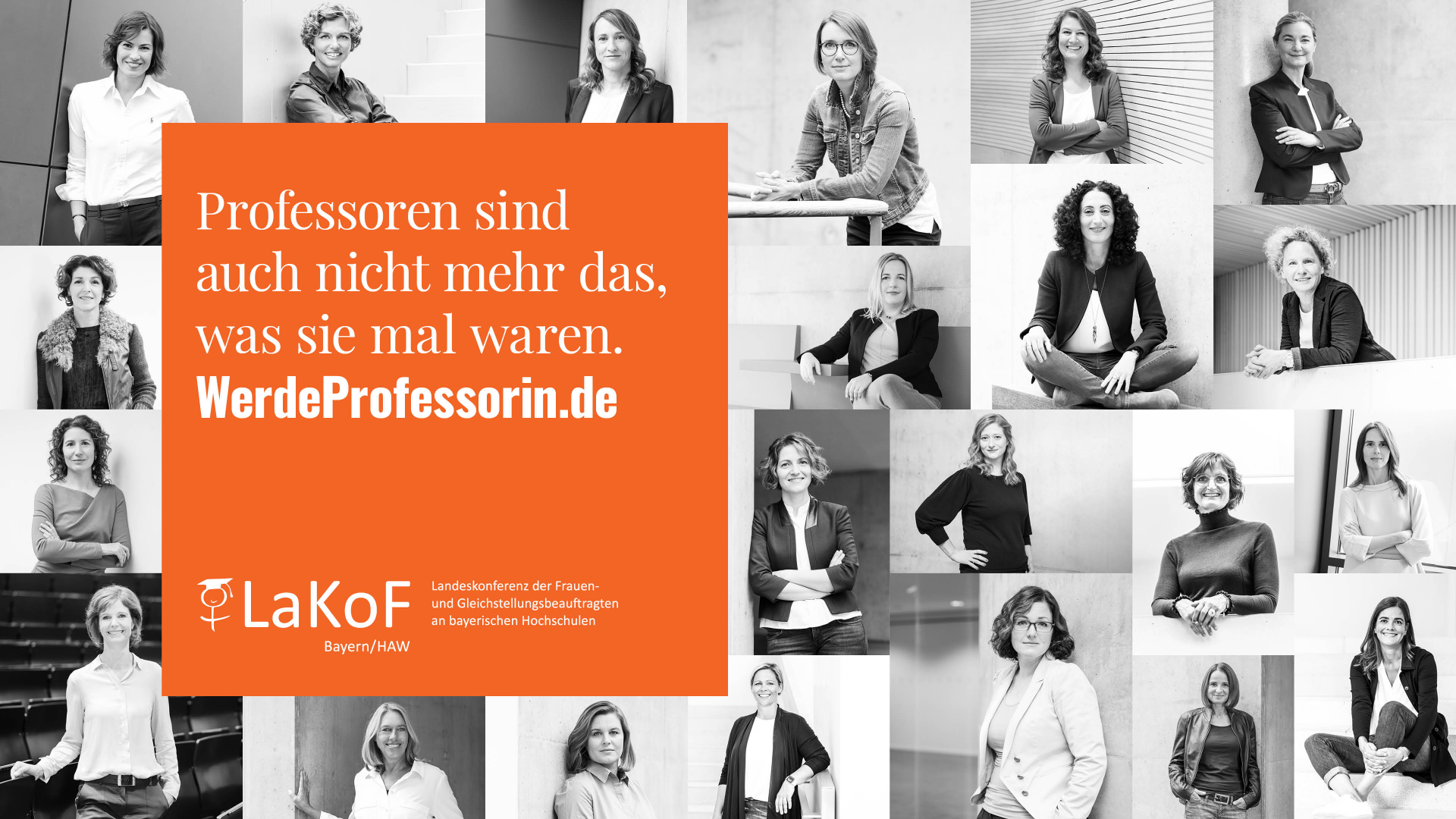 WerdeProfessorin.de