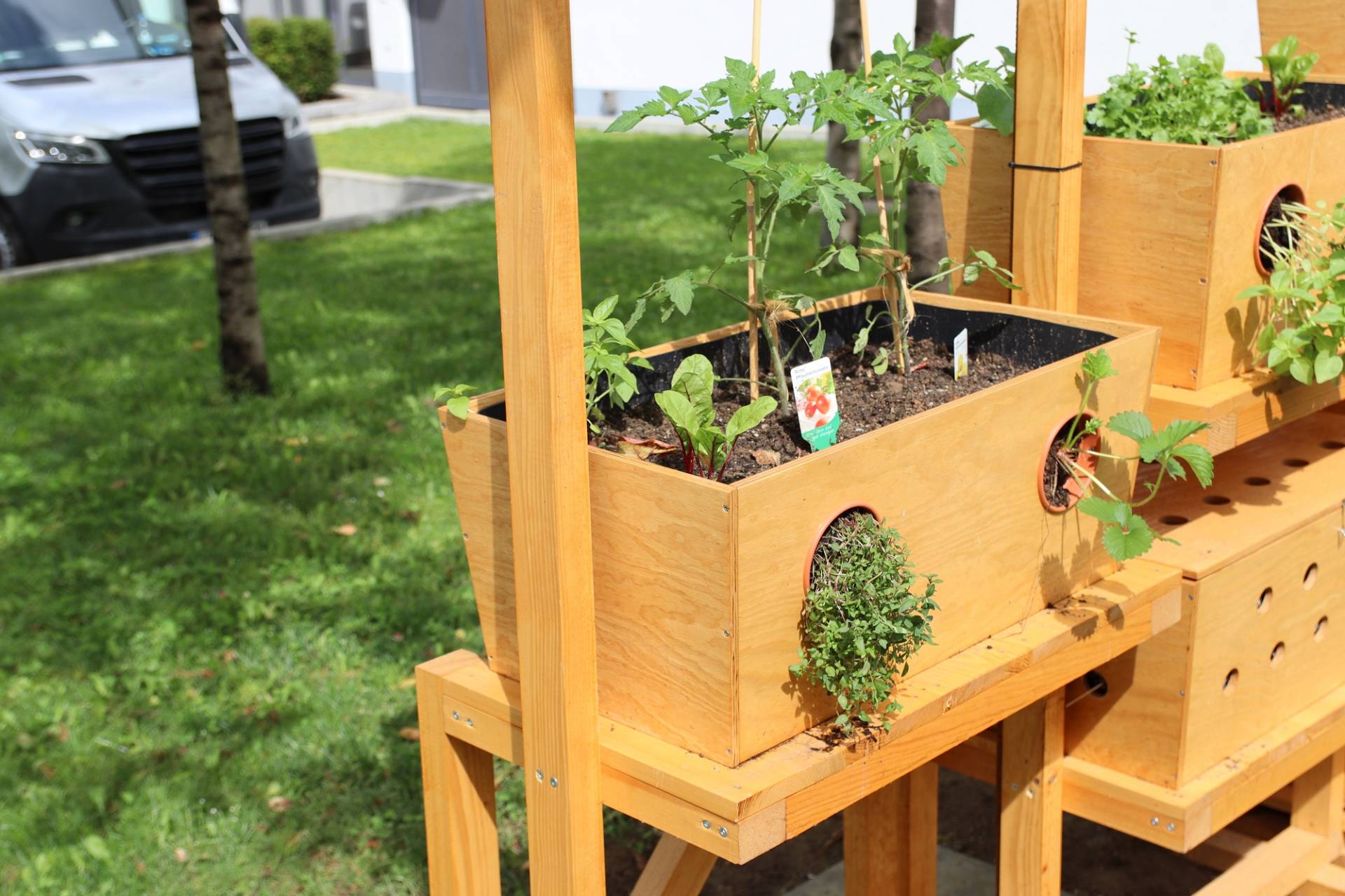 Aufbauarbeiten Urban Gardening