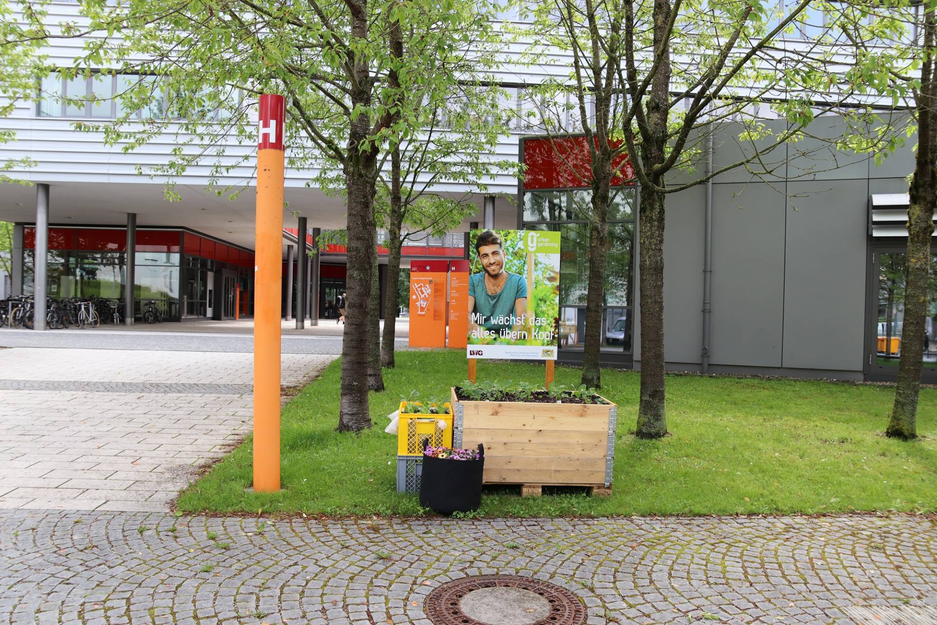 Aufbauarbeiten Urban Gardening