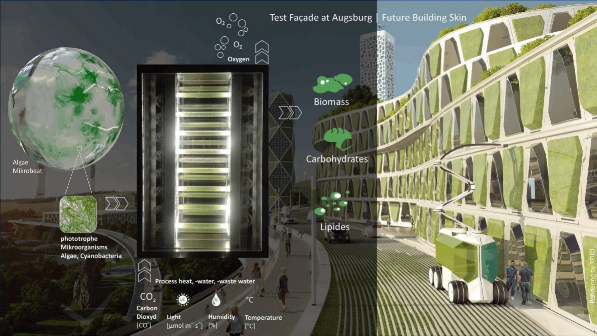  © Prof. Dr. sc. hum. Timo Schmidt, Rendering XOIO