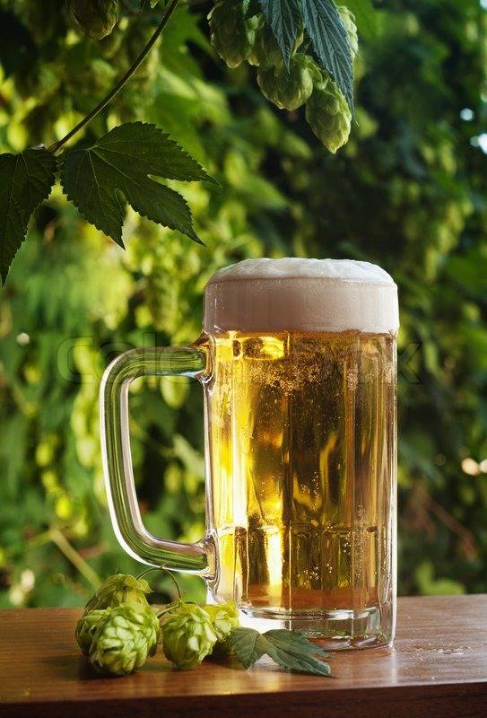 dunkles Bier dunkles Bier