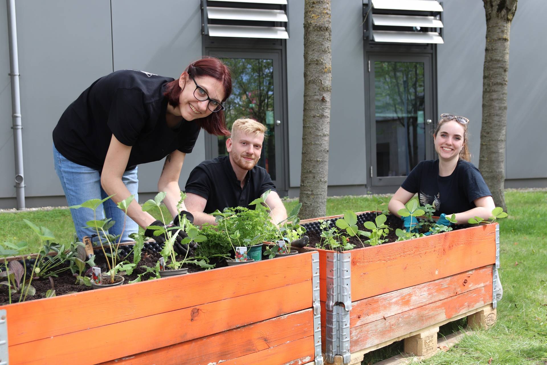 Studierende der Hochschule Augsburg (links) bepflanzten mit Unterstützung der LWG (rechts) die Hochbeete der Studentischen Vertretung im Urban-Gardening-Demonstrationsgarten an der Hochschule Augsburg. © Verena Kiss