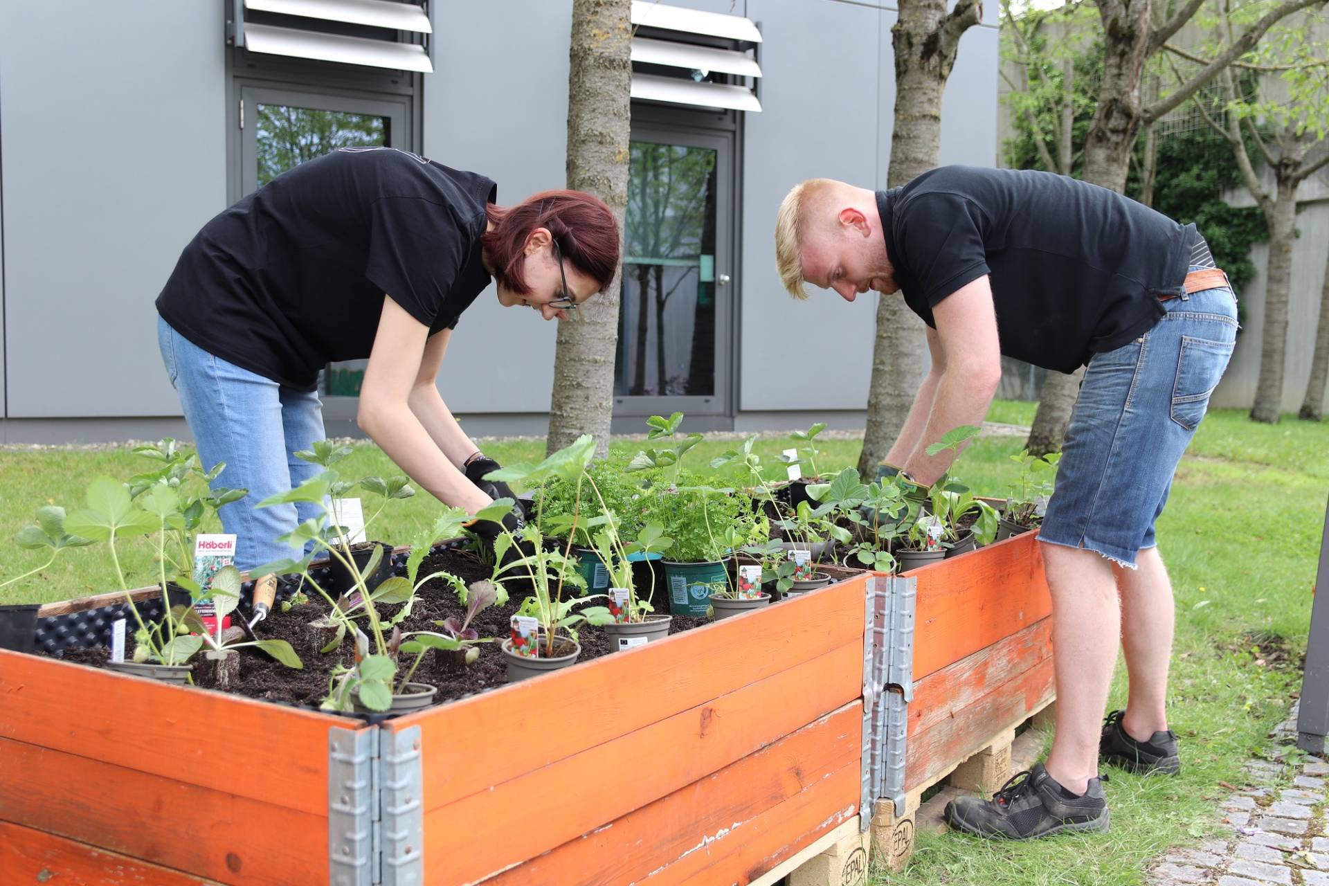 Der Urban-Gardening-Demonstrationsgarten an der Hochschule Augsburg © Verena Kiss