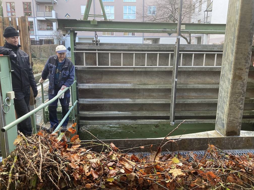 Im Herbst besteht das Treibgut am Wasserkraftwerk Hanreibach am Augsburger Stadtkanal übwiegend aus Laub. Darunter ist jedoch auch Zivilisationsmüll wie Plastik. © Tobias Dempfle