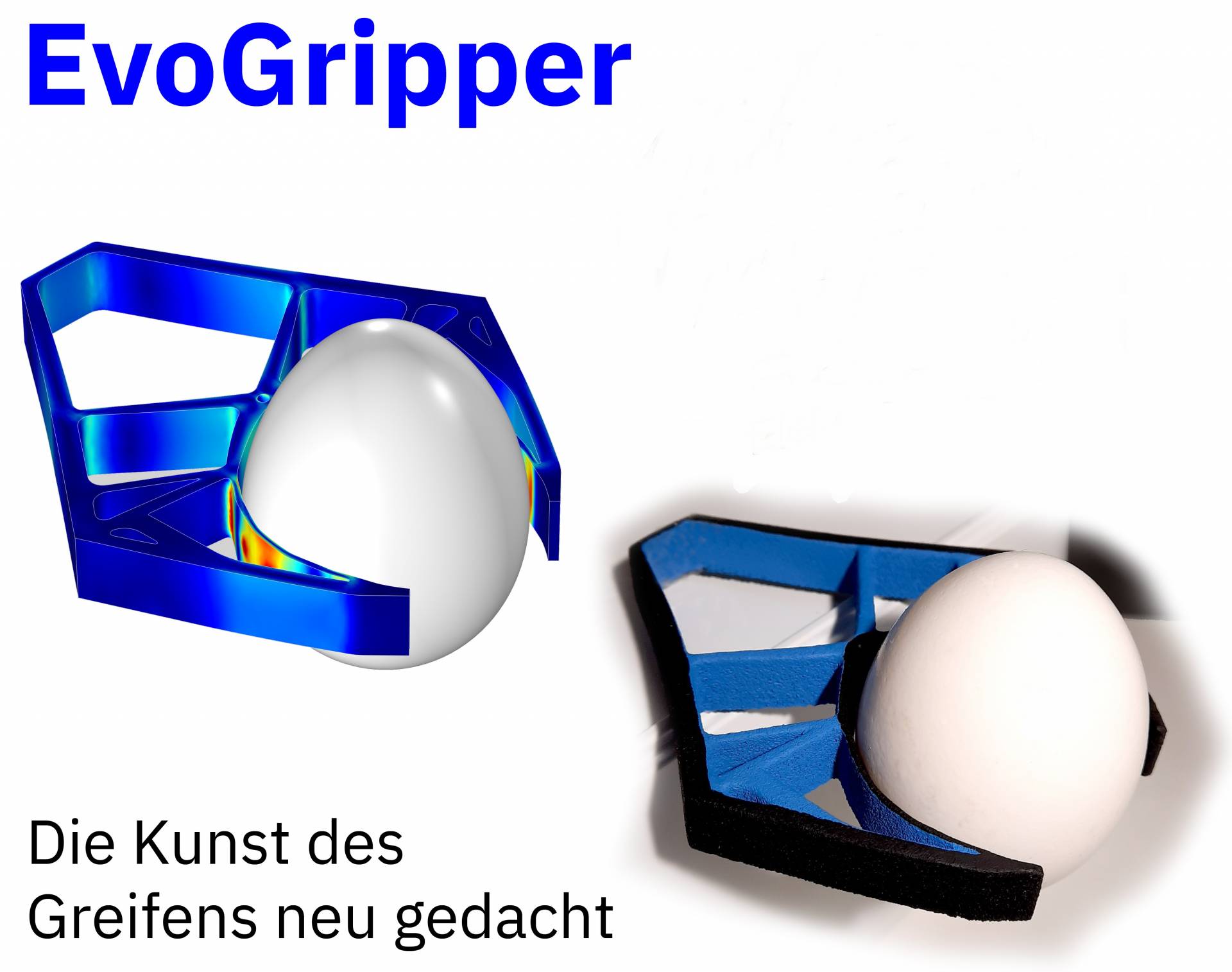 EvoGripper - Die Kunst des Greifens neu gedacht