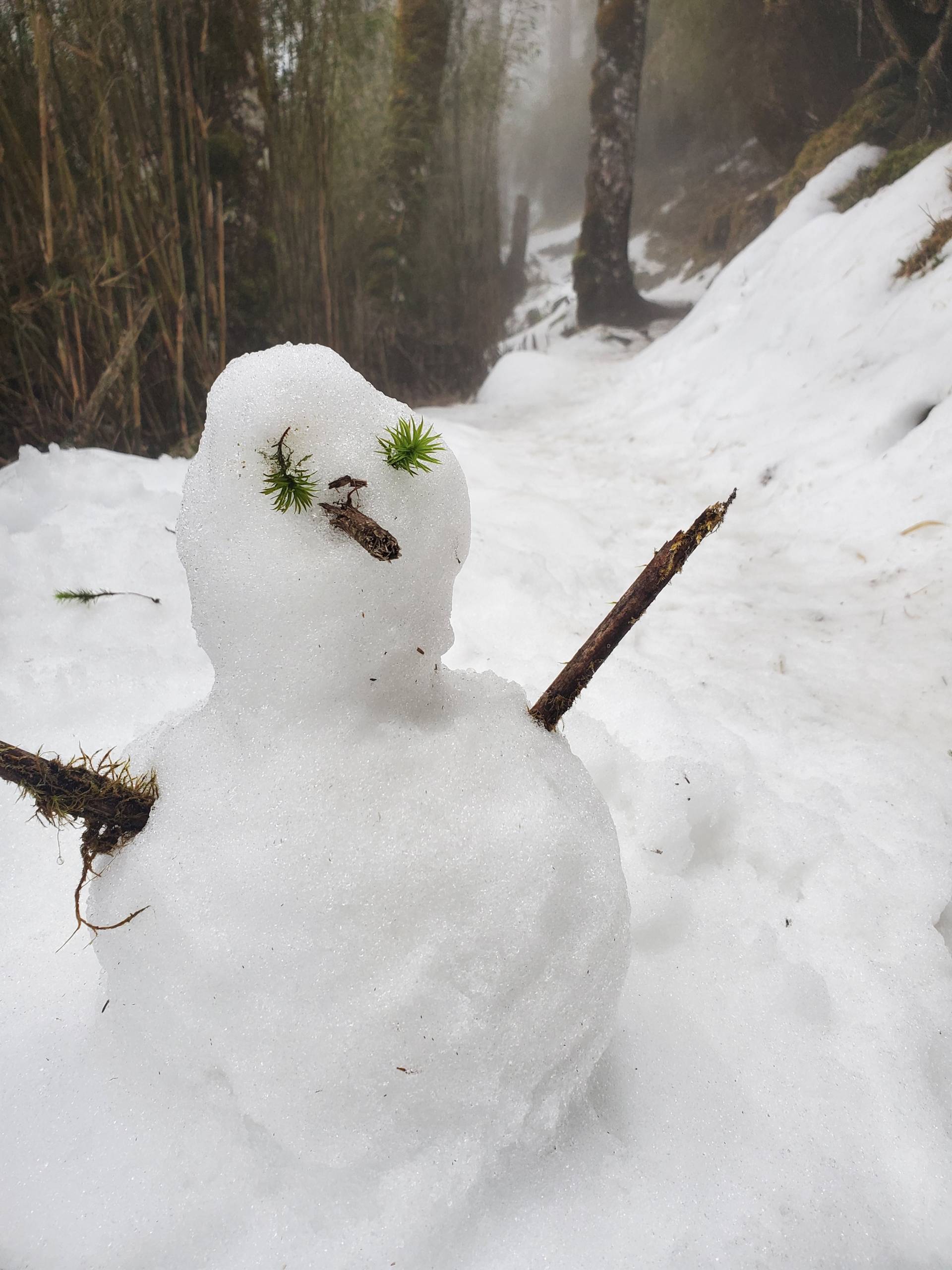 Schneemann