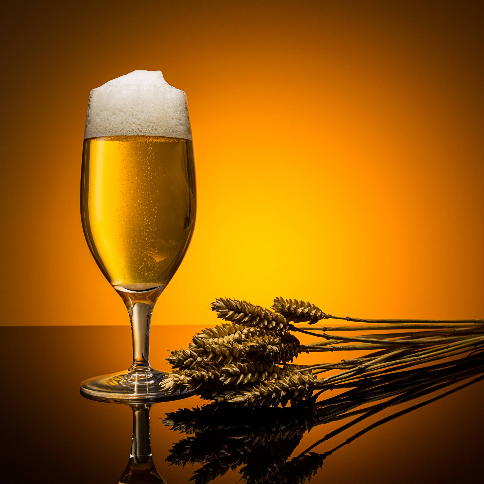 Ein Glas Pilsbier