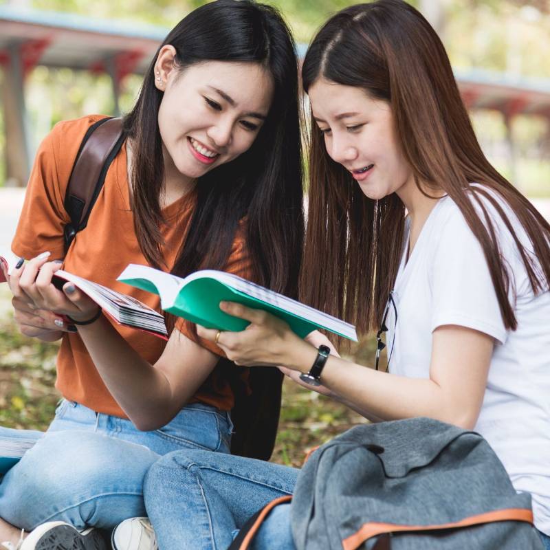 Studentinnen sitzen auf der Wiese und sprechen über ein Buch gebeugt