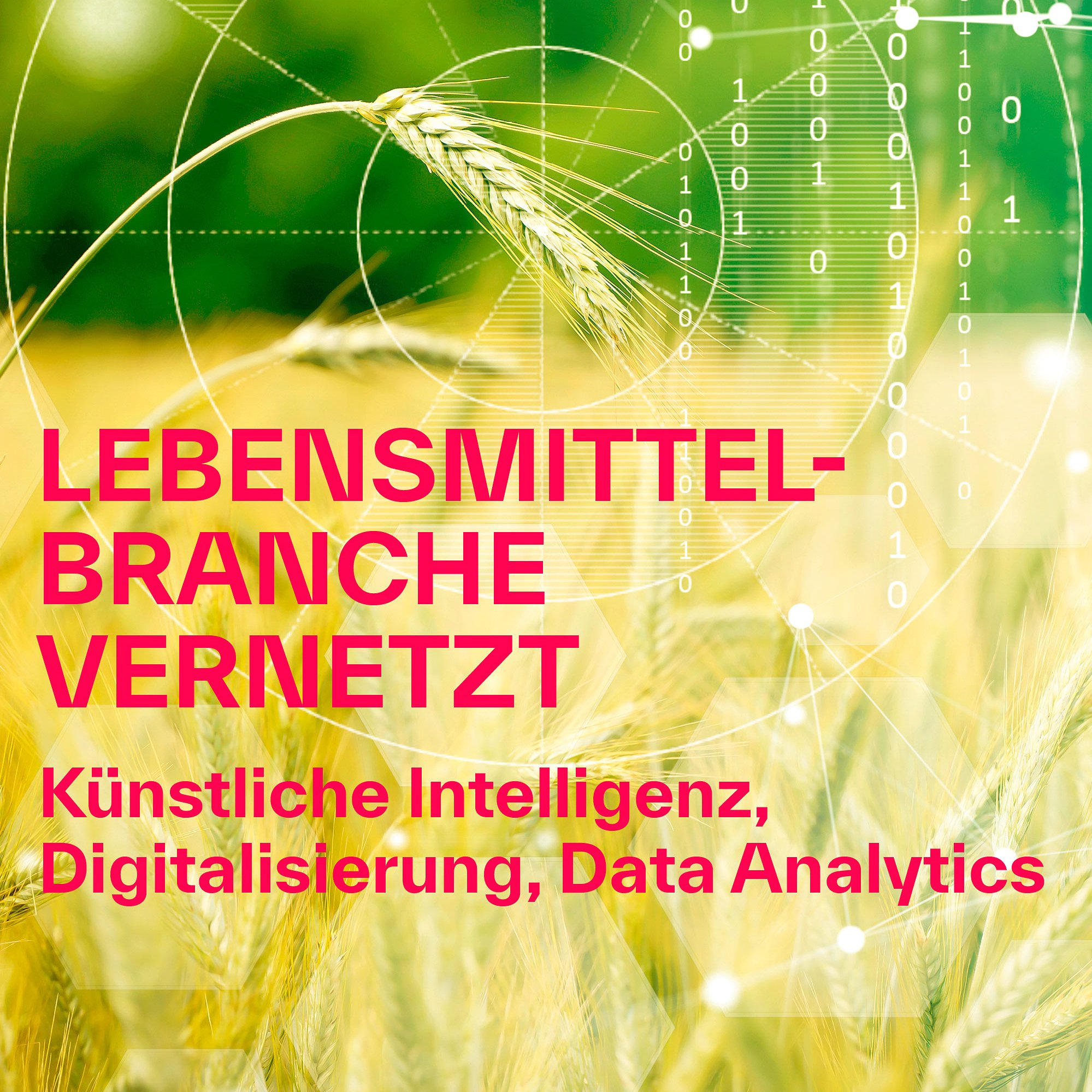 Logo TTZ Data Analytics