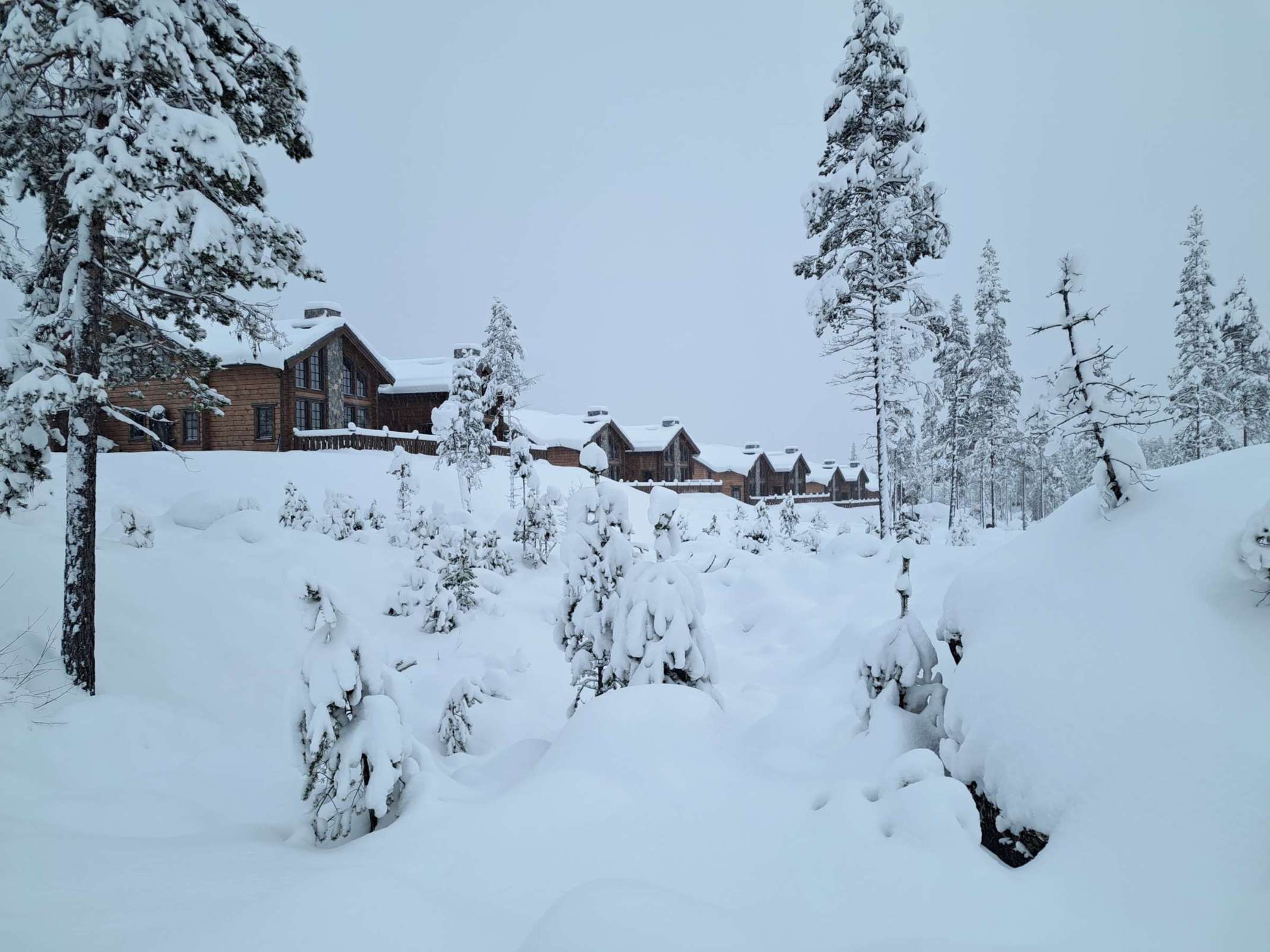 verschneite Hütte 