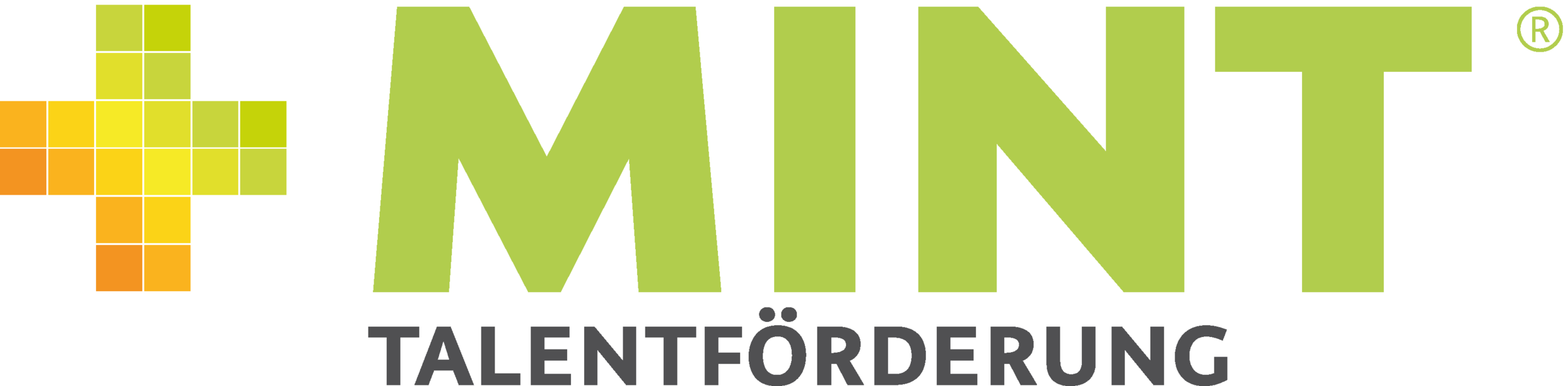 Logo MINT Talentförderung
