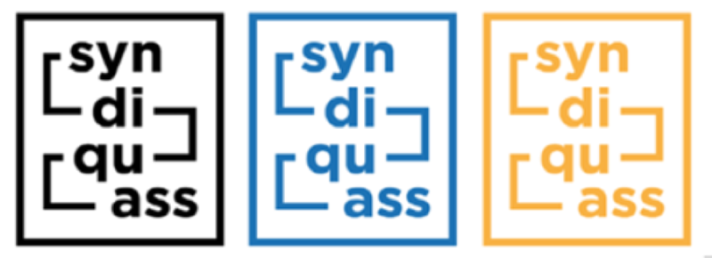 SynDiQuAss