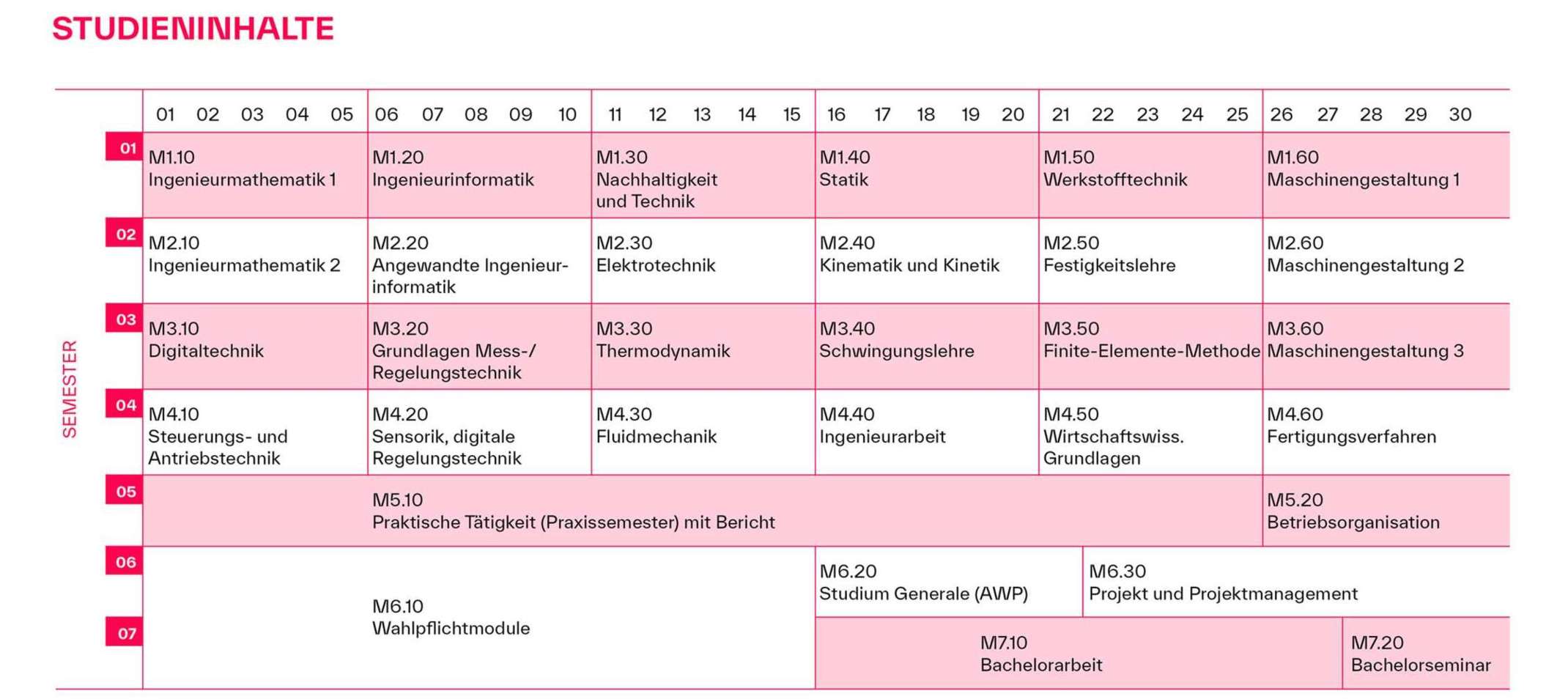 Studienplan