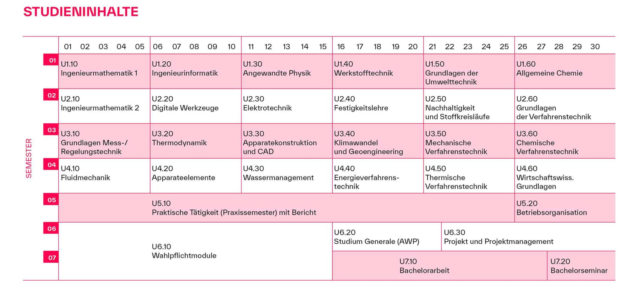 Studienplan