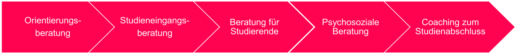 Leistungen der ZSB Leistungen der ZSB