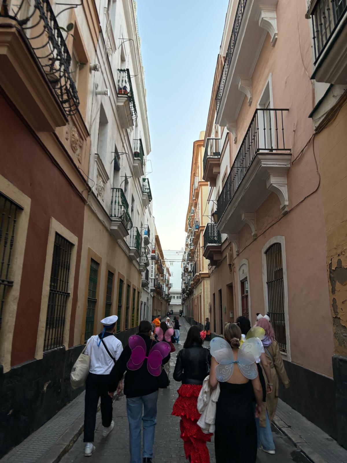 Eindrücke vom Carneval de Cádiz Eindrücke vom Carneval de Cádiz