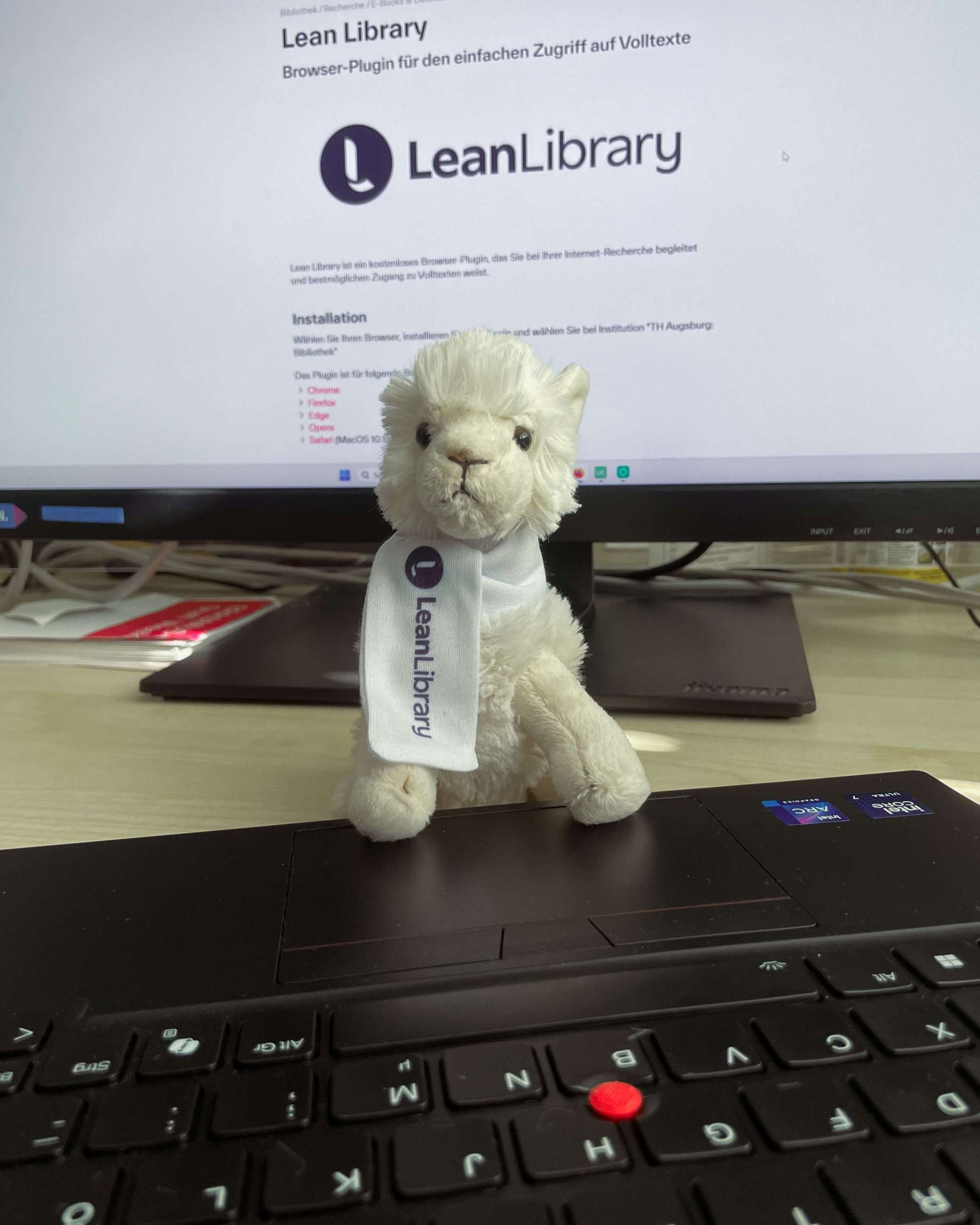Lama erklärt LeanLibrary