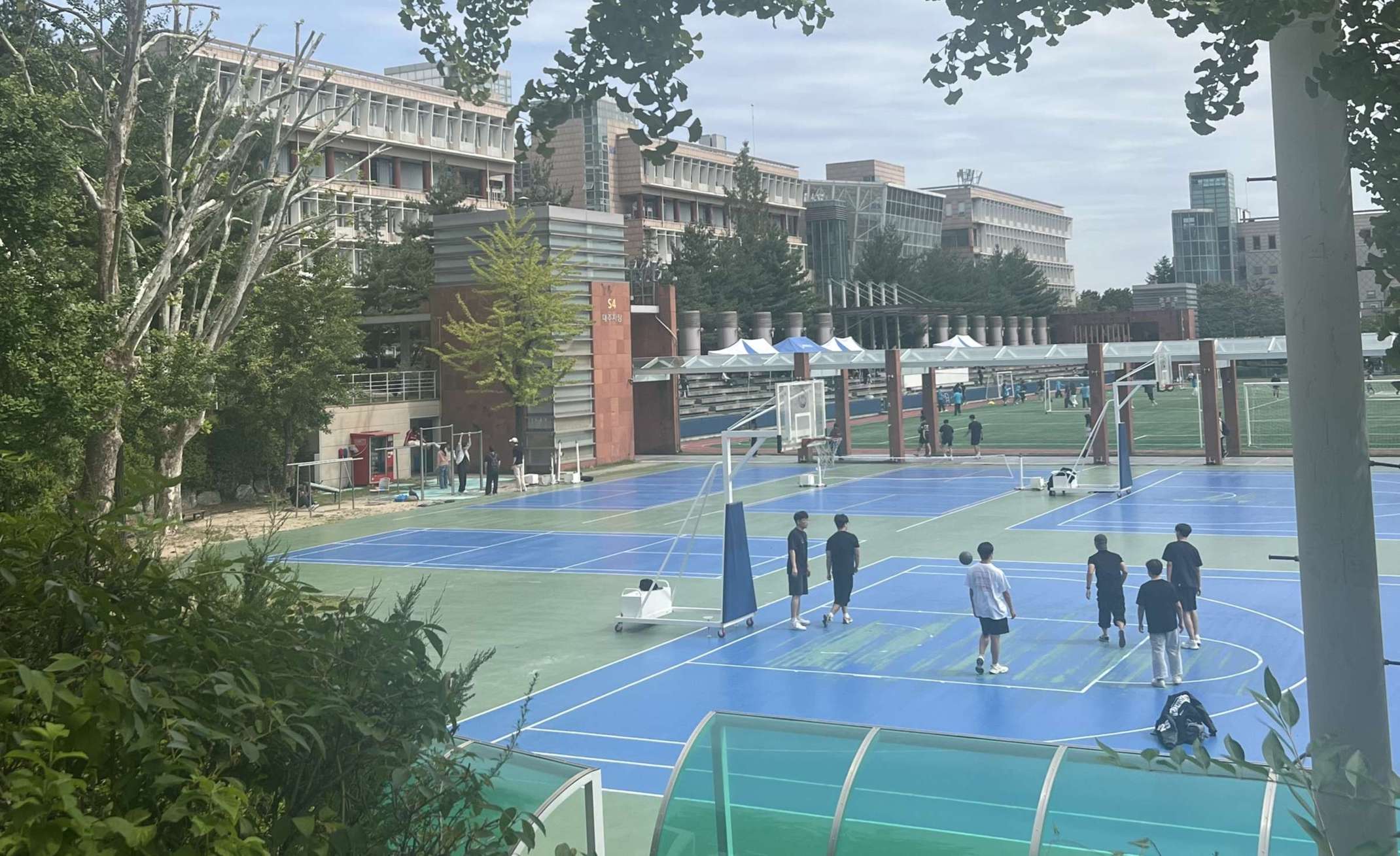 Blick auf den Sportplatz und die Wirtschaftsfakultät