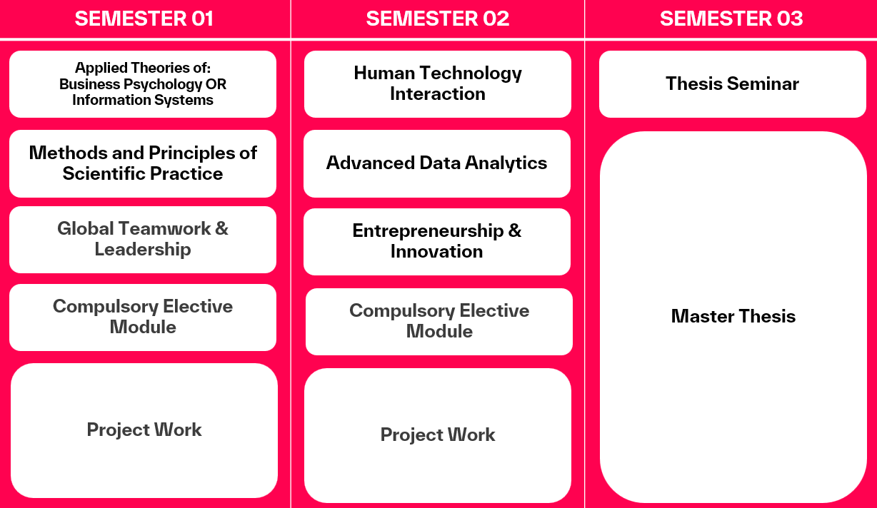 Module Description IMRI (Full Time)