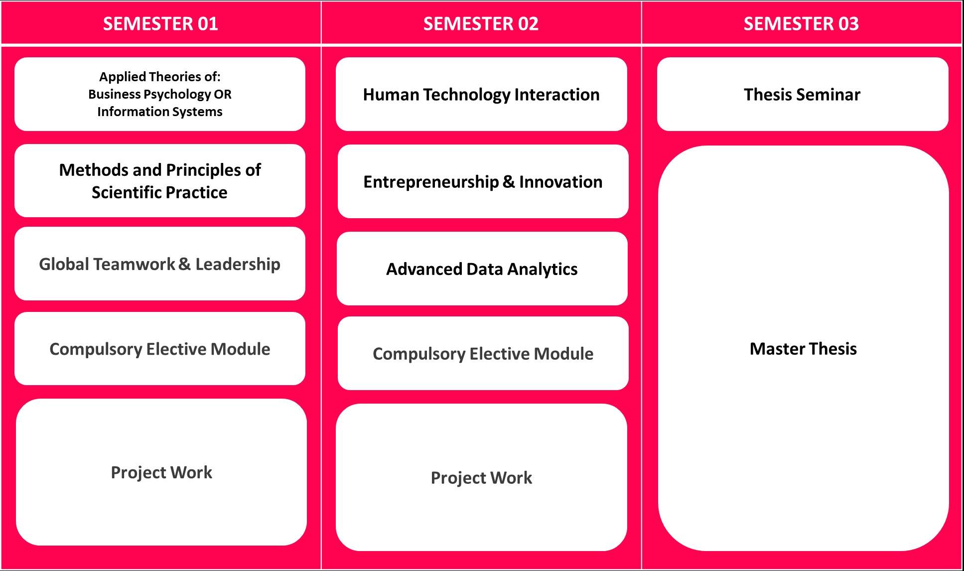 Module Description IMRI