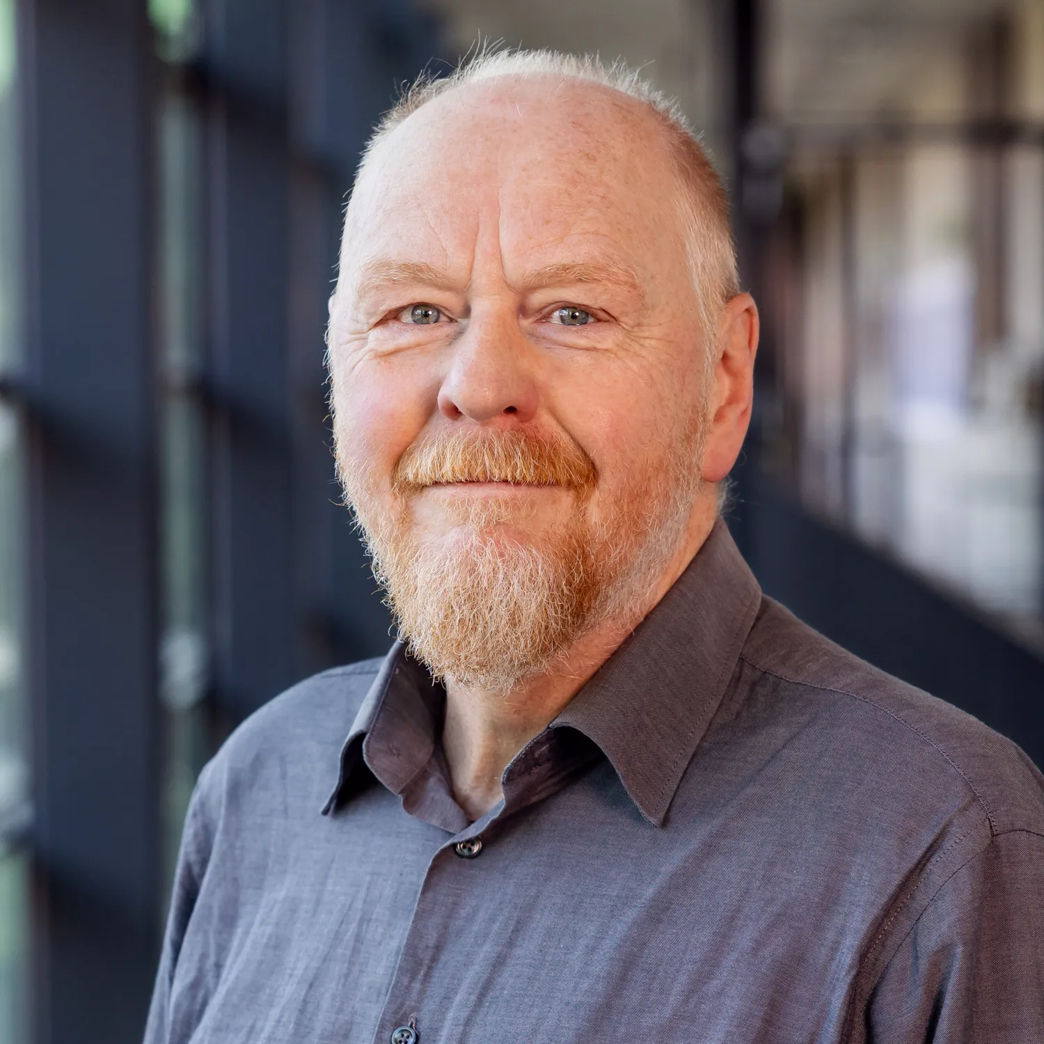 Profilbild von Prof. Dr. Hubert Högl