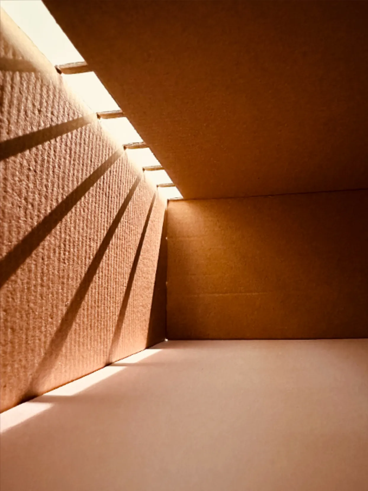 Arbeit von Annika Gleiser
