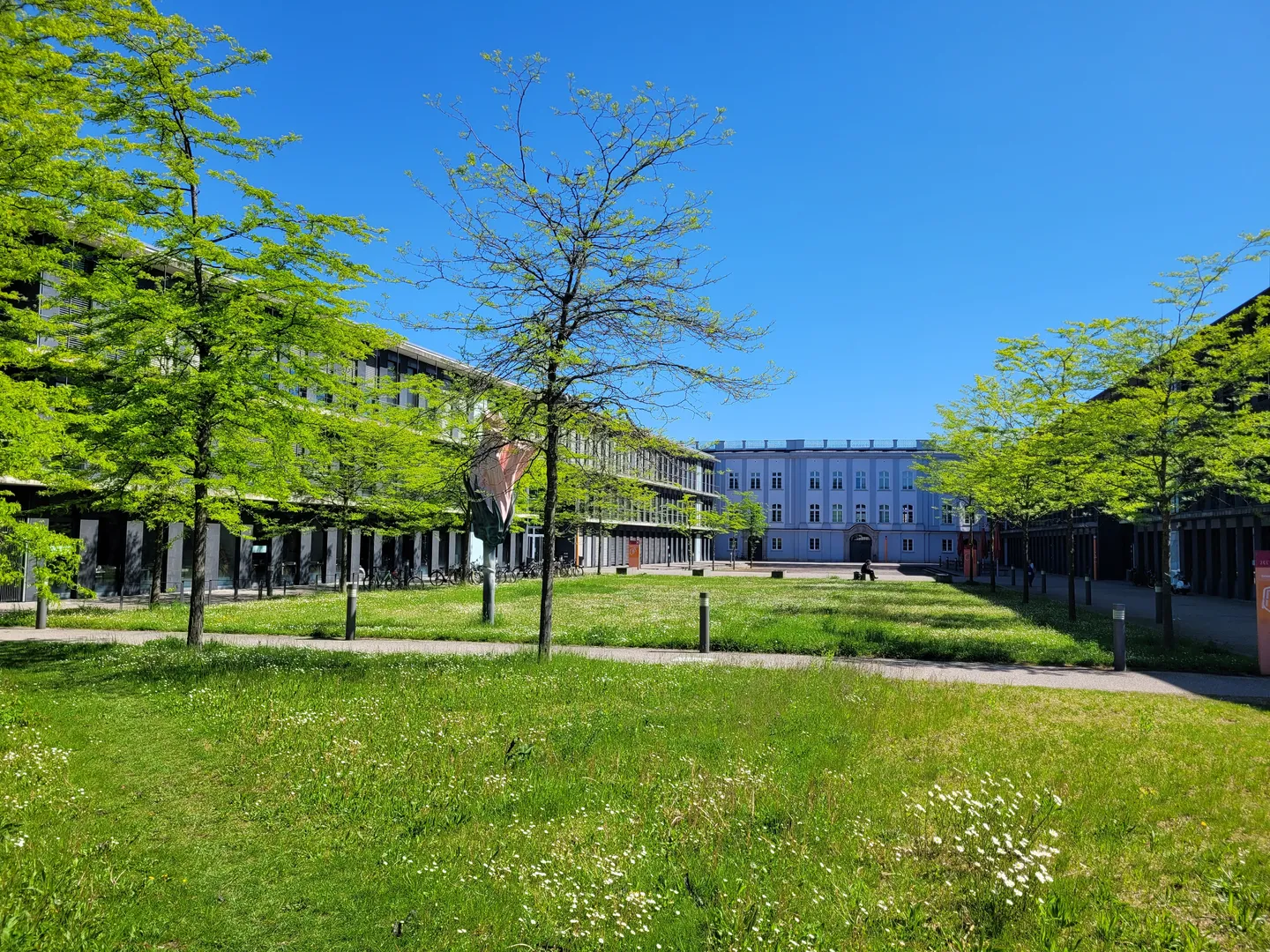 Campus am Roten Tor mit Frühjahrsblüte