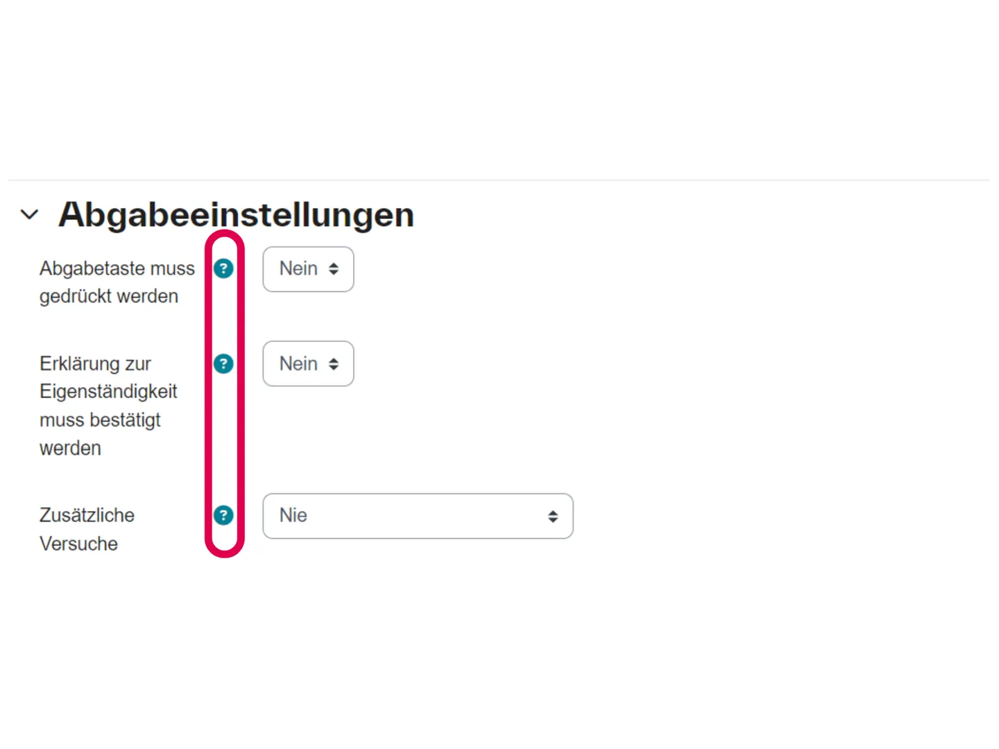 Screenshot der Abgabeeinstellungen einer Moodle-Aufgabe