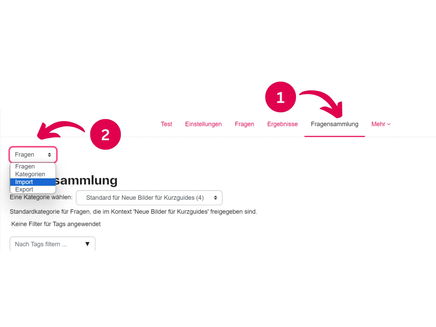 Screenshot der Moodle-Importfunktion für Fragen mit Formatauswahl
