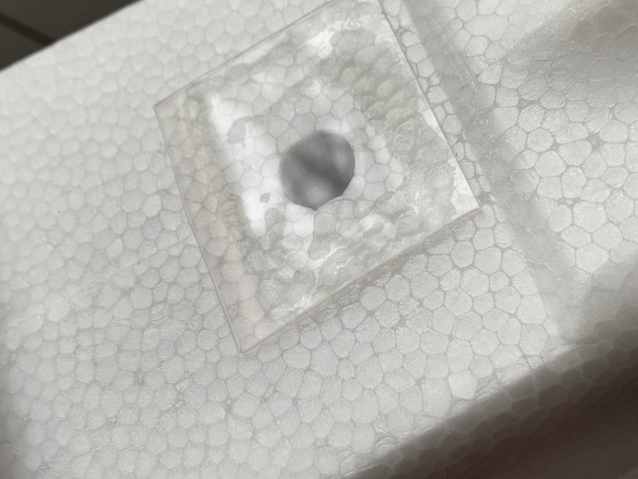 waterproof_camera.jpg waterproof_camera.jpg