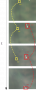 5ee30e4d3dc8729b80b2ca22e4b9f3af.png