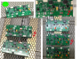 boardbugs.png