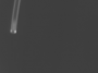 0_latest_without.png
