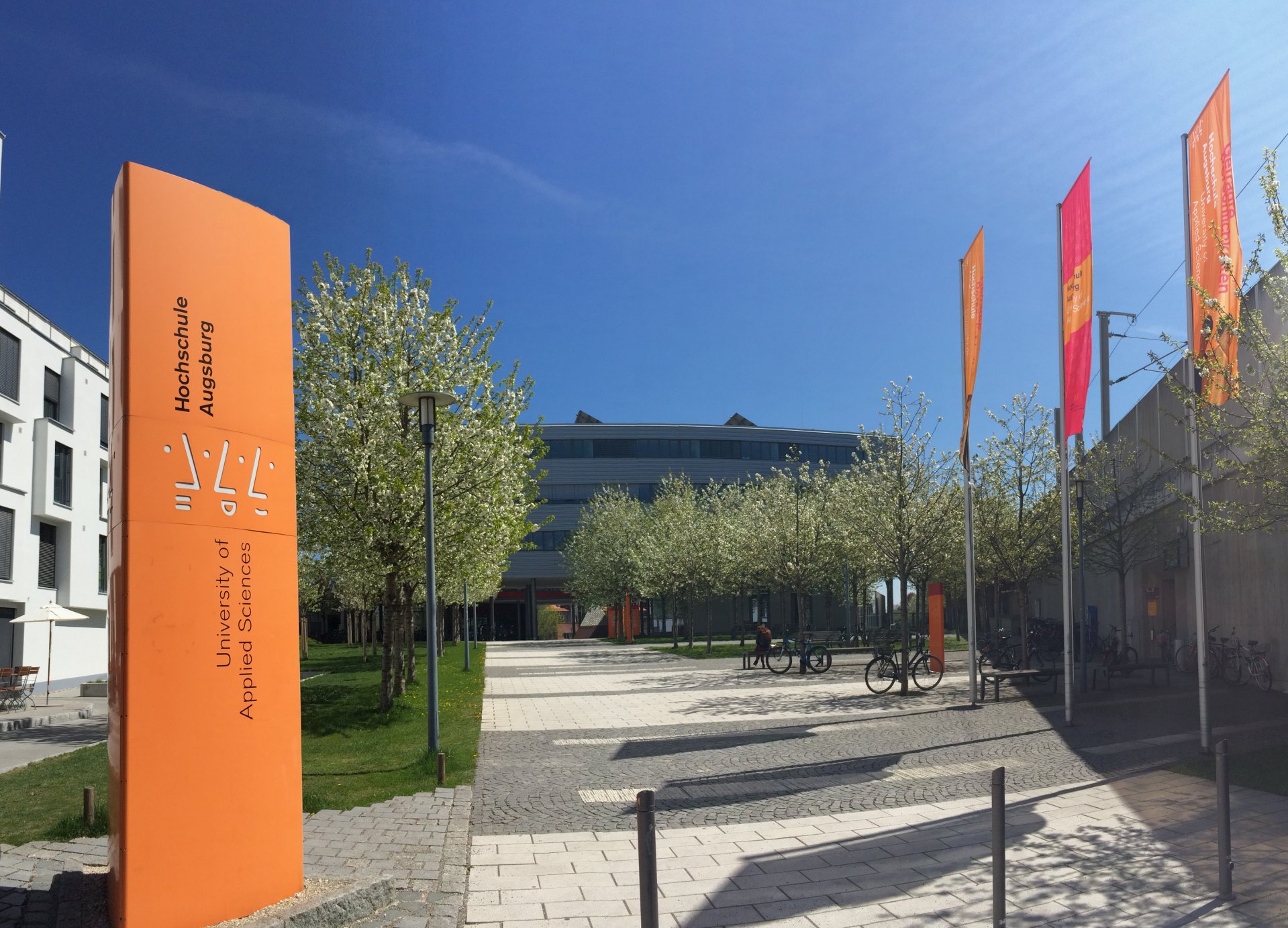 Weg zur Bibliothek im Frühjahr Weg zur Bibliothek im Frühjahr