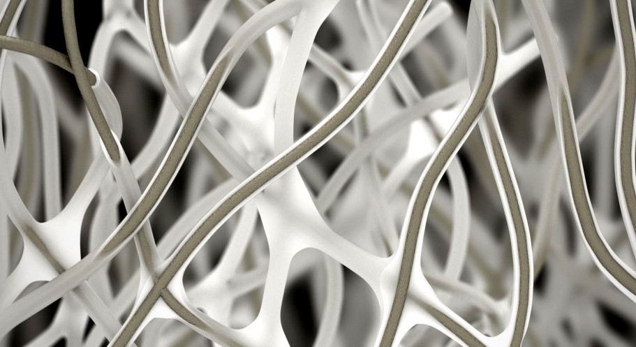 Bio Board. Bio Board.