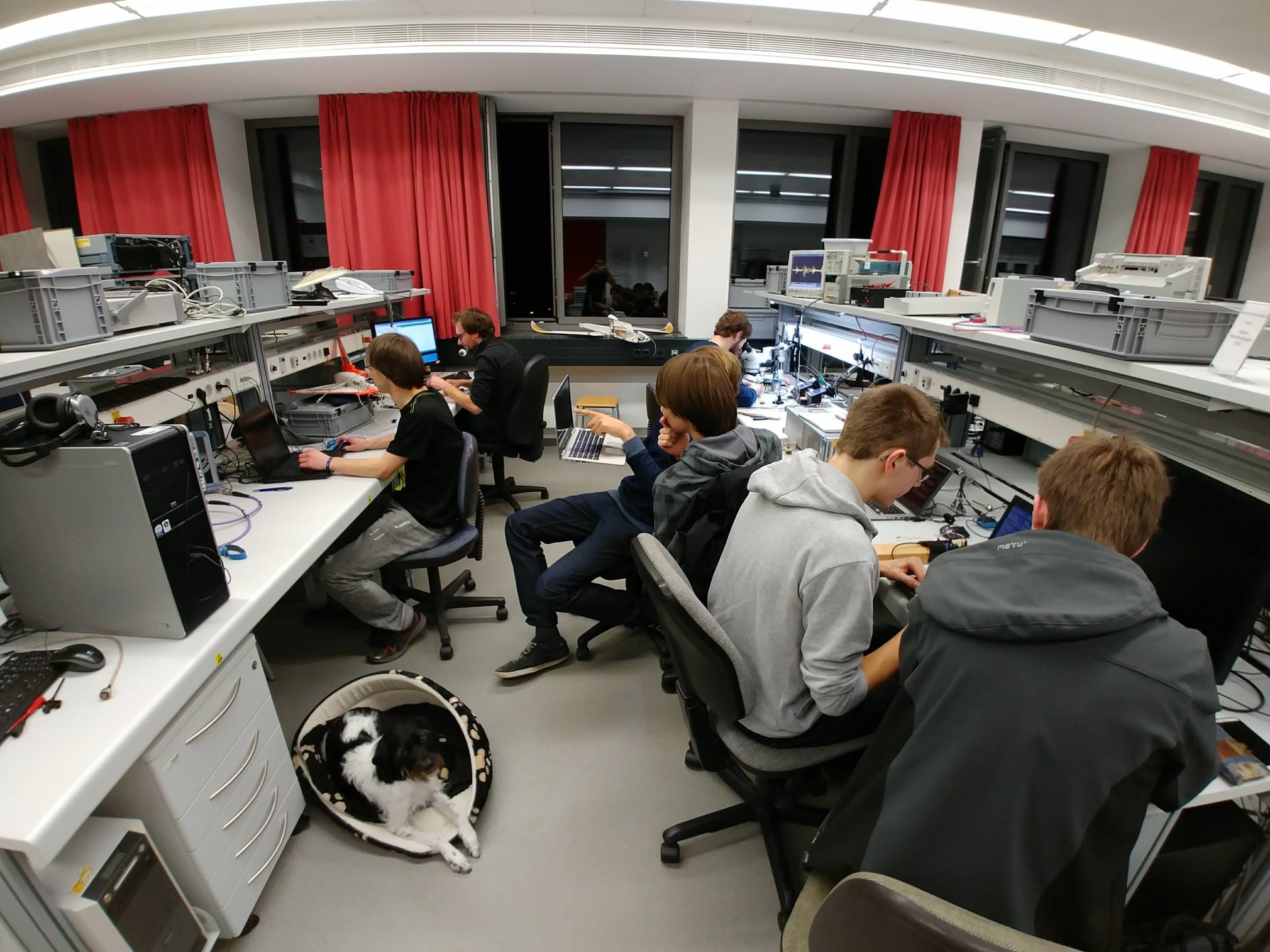 DeveloperInnen in der Arbeit vertieft DeveloperInnen in der Arbeit vertieft