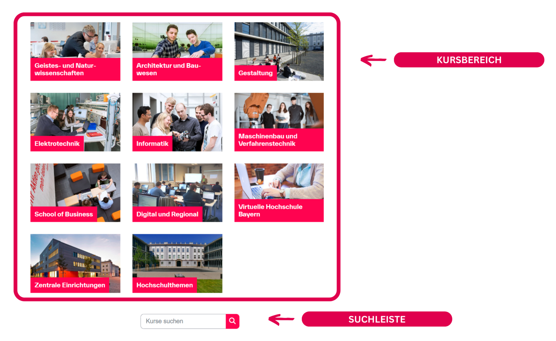 Kursbereiche Suchfeld
