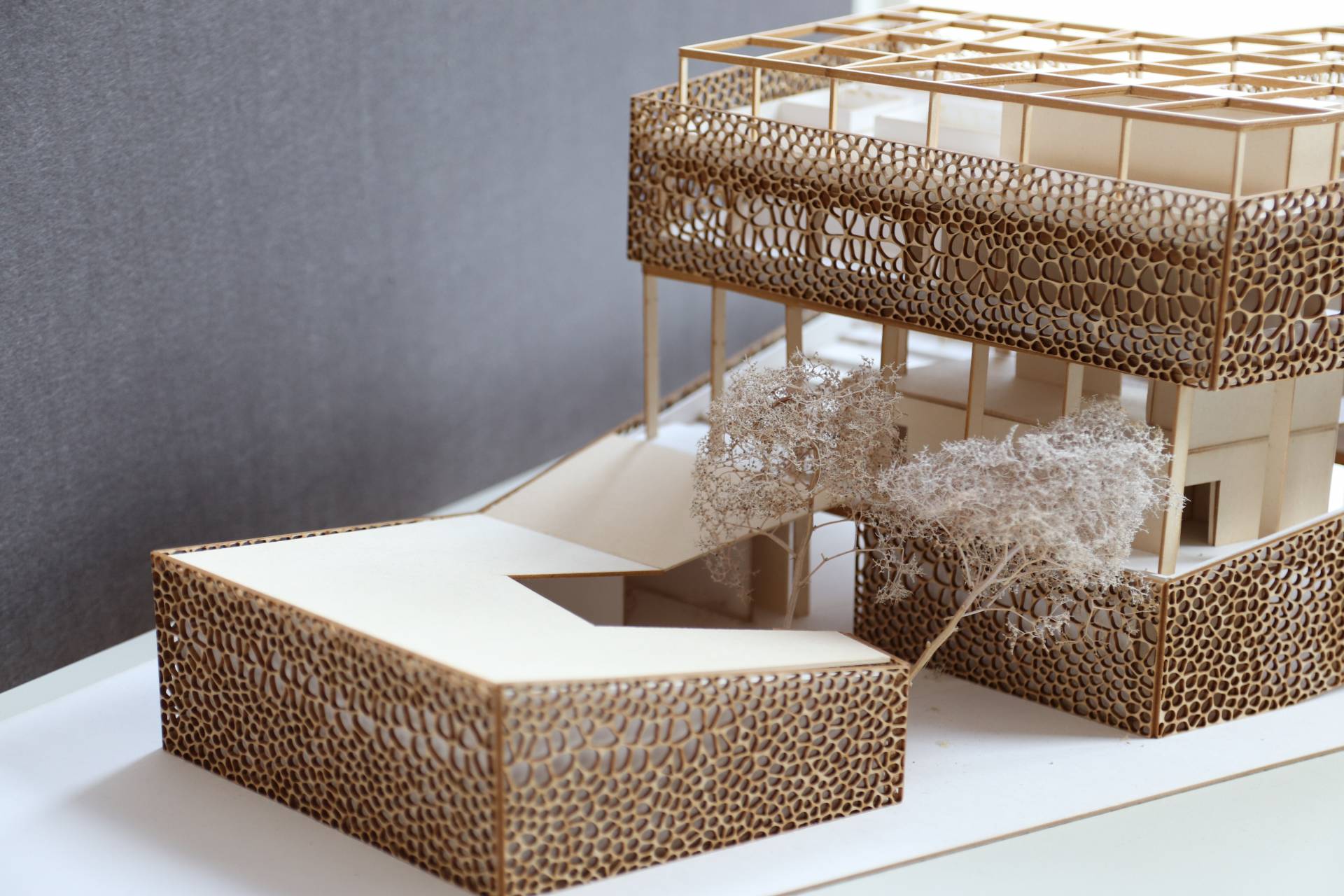 Preisverleihung 2018 der WBG-Stiftung: Modell von Paul Brückner (Anerkennung über 300 Euro) Preisverleihung 2018 der WBG-Stiftung: Modell von Paul Brückner (Anerkennung über 300 Euro)