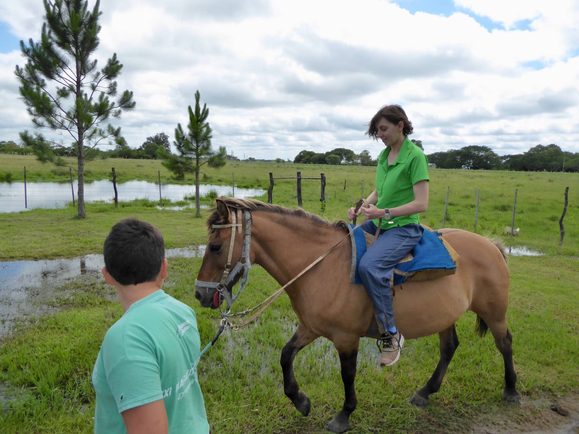 Erfahrungen in der Natur auf dem Pferd.