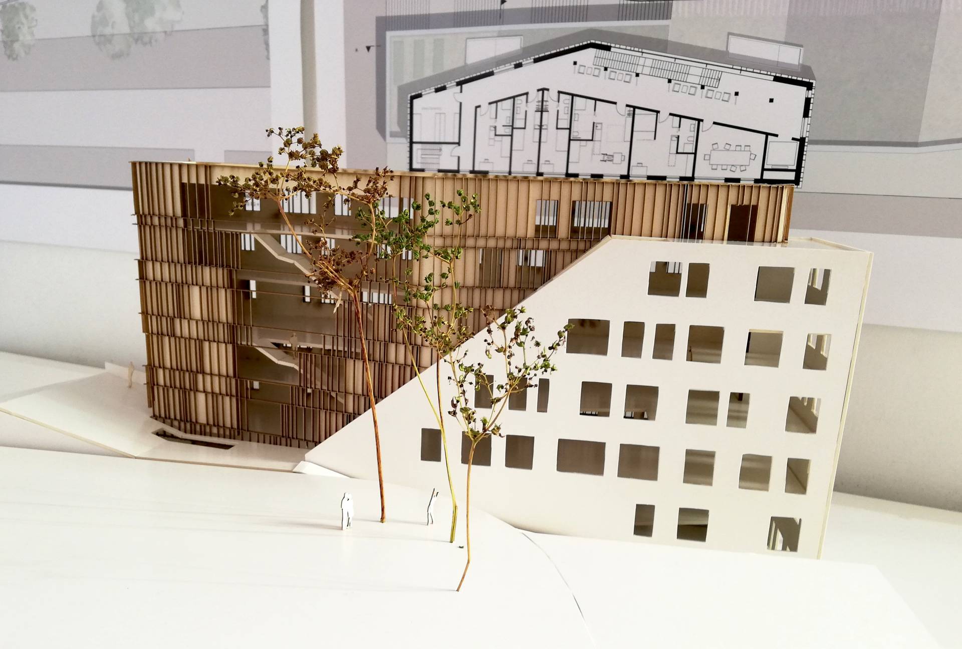 Modell: Blick vom oberen Geländeniveau auf die Ostseite des Gebäudes