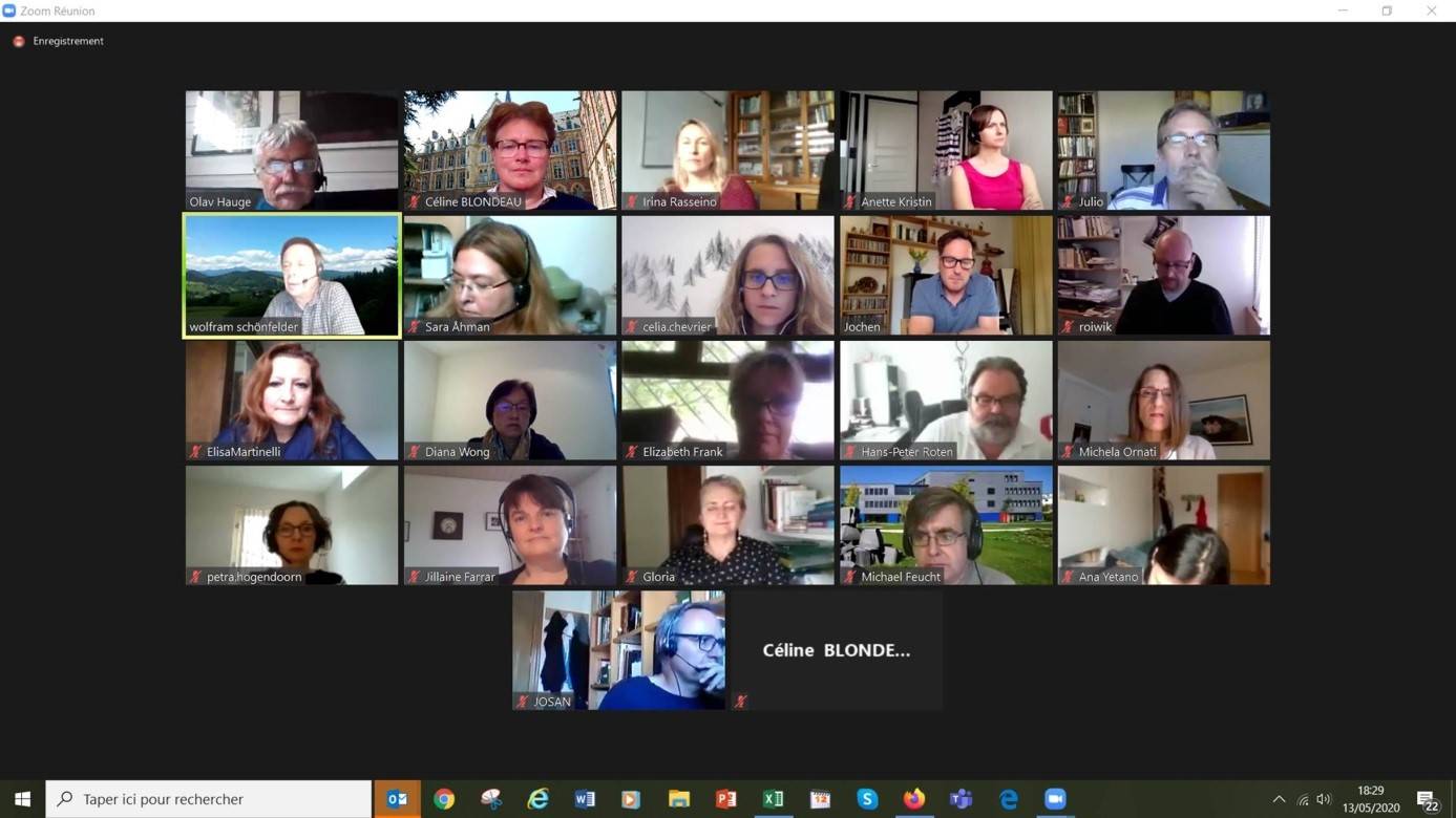 Virtual ICP Meeting 2020