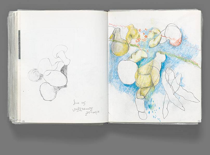 Nanne Meyer, Doppelseiten aus den Jahrbüchern zwischen 2009 und 2015